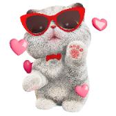 Patounage de chaton