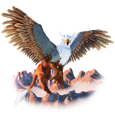 Griffon