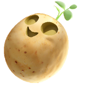 Transformation de pomme de terre