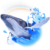 Sam la baleine