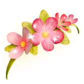 Bandeau de fleurs