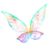 Ailes colorées