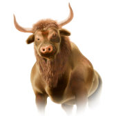 Taureau
