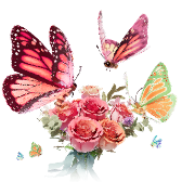 Bouquet de papillons