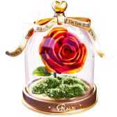 Rose à jamais