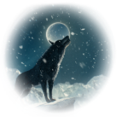Loup noir