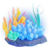 Corail