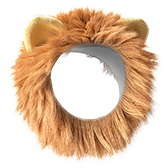Crinière de lion