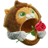 Câlin félin