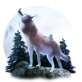 Loup