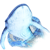 Plongée avec les baleines